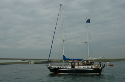 Nauti Blue